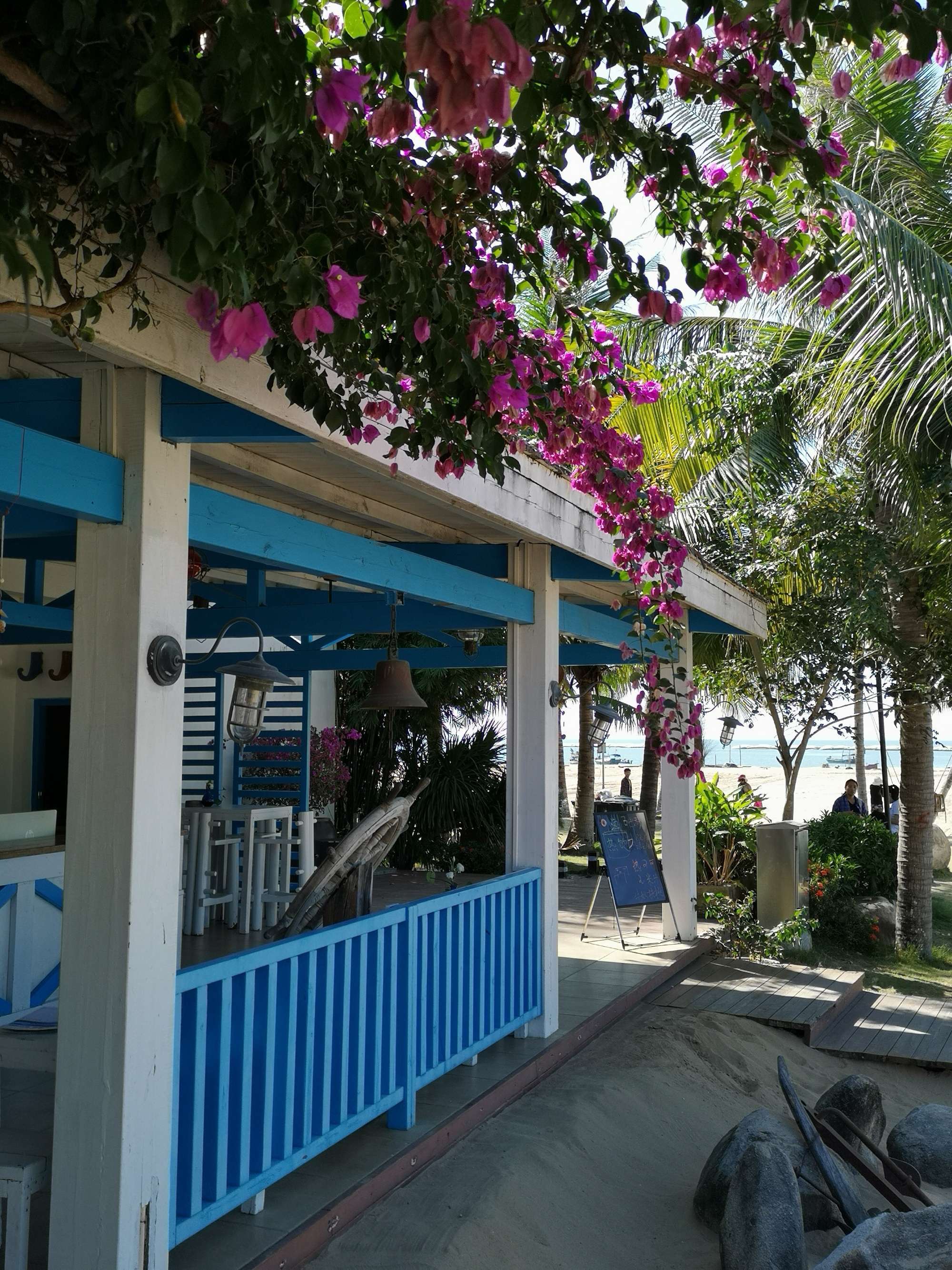 圆梦之园一一我的波波利海岸,下篇