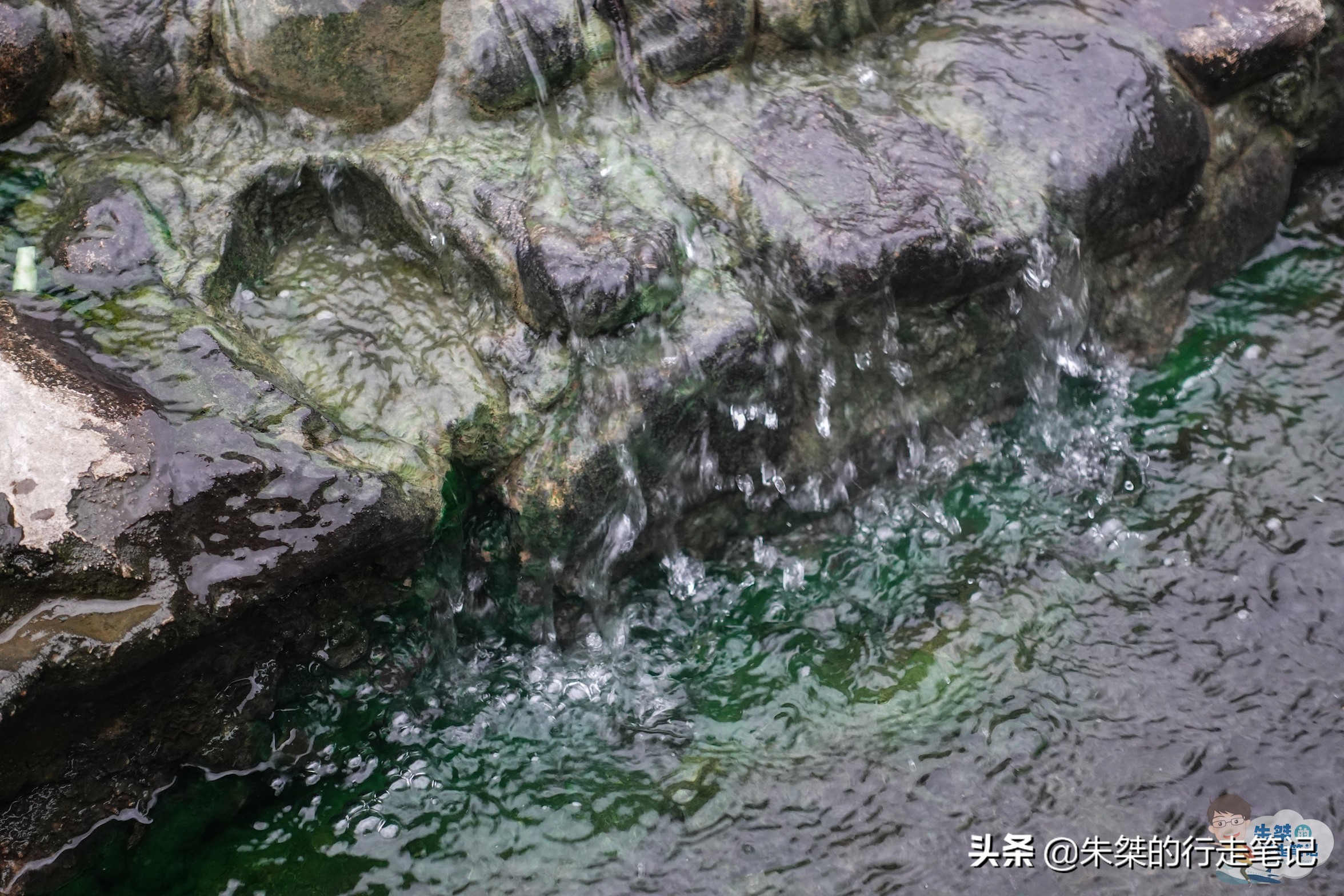 温州旅游区开发投资,温州最大投资项目