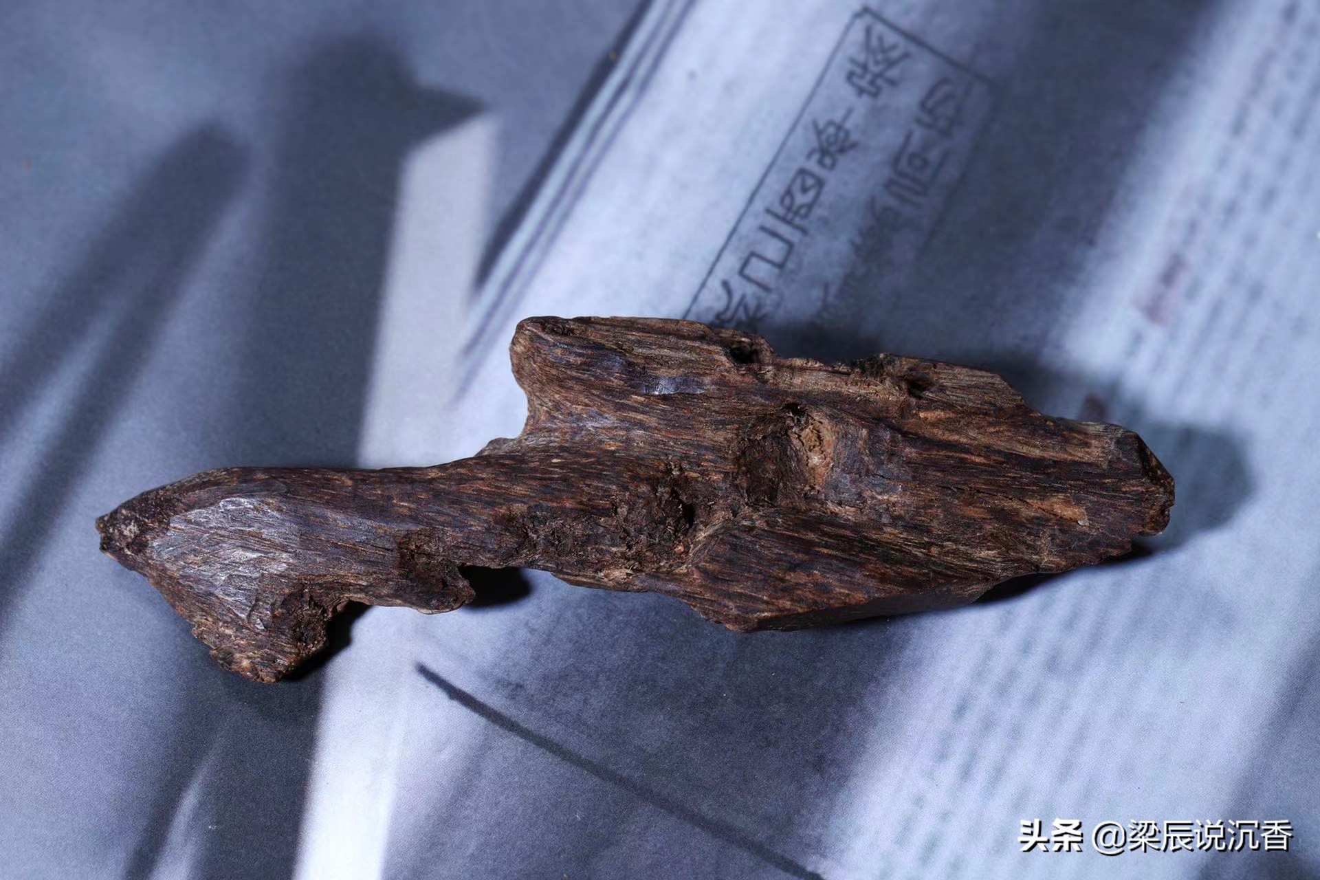越南沉香是沉香吗,越南芽庄沉香与海南沉香的区别