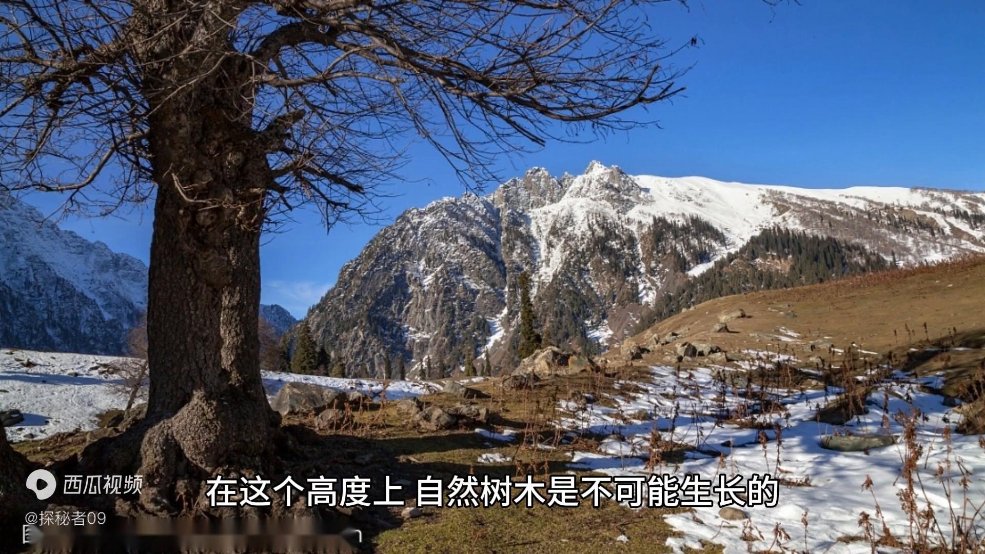 “诺亚方舟”竟然被找到了，真的假的？