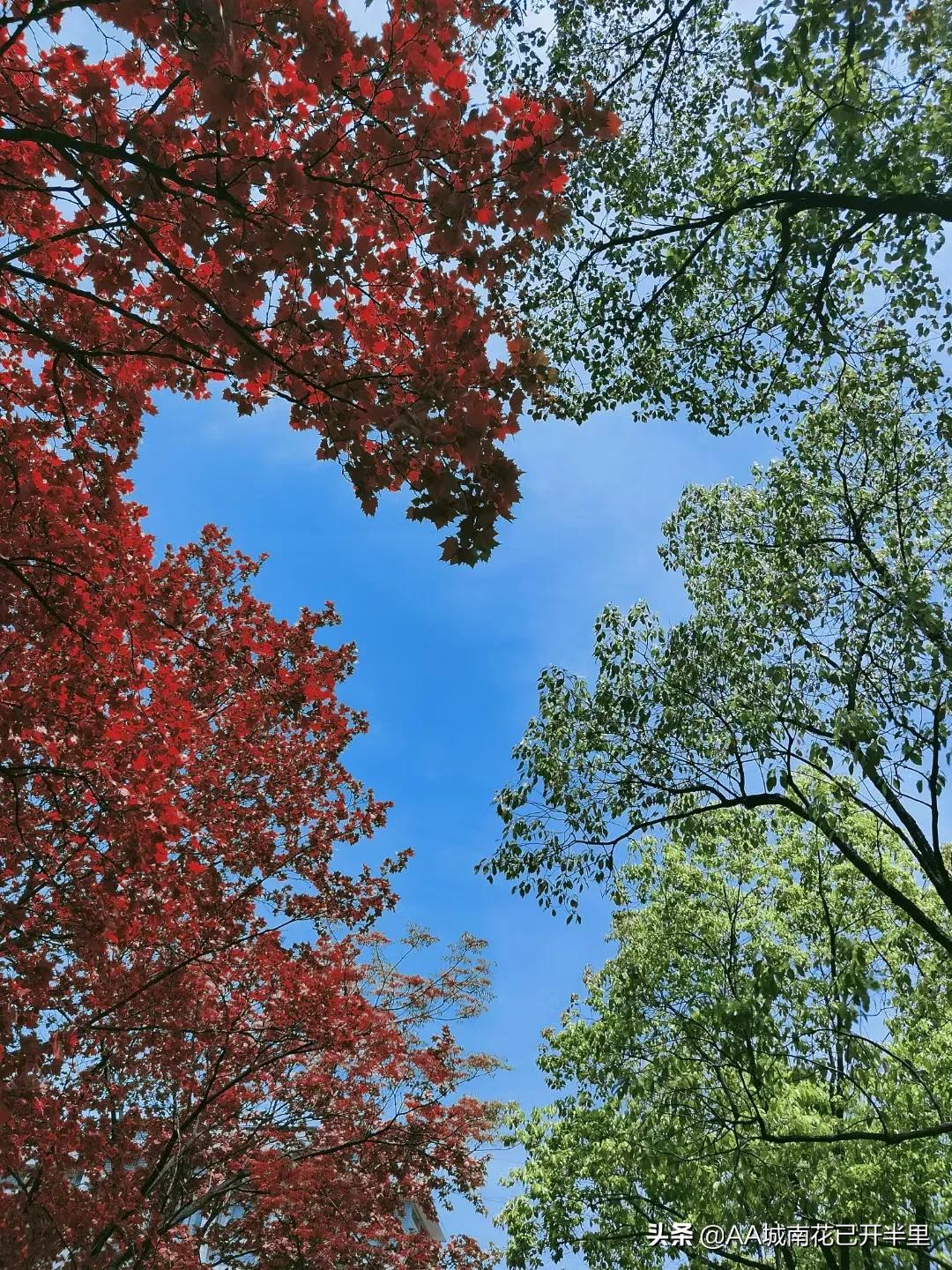 中国知网是纯独立外资，网友：我*载下**自己的论文还要付费