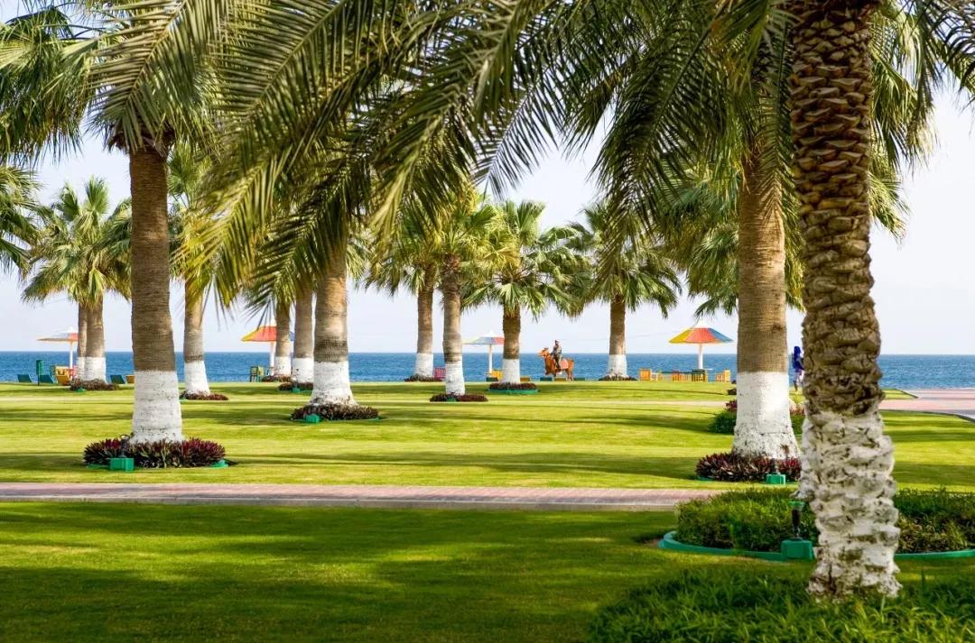 卡塔尔值得旅游的地方,卡塔尔旅游美景