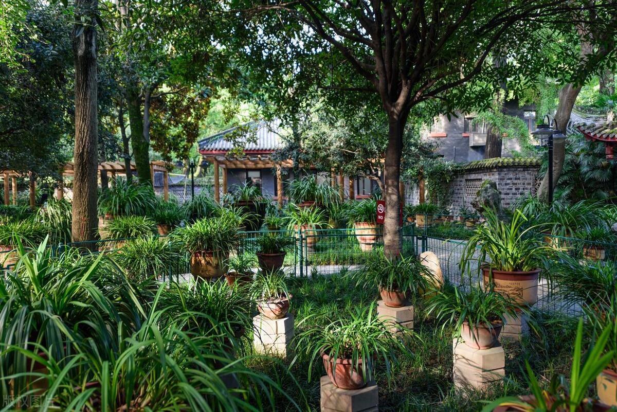 成都免费旅游景点一日游攻略,成都宝藏打卡地大赏