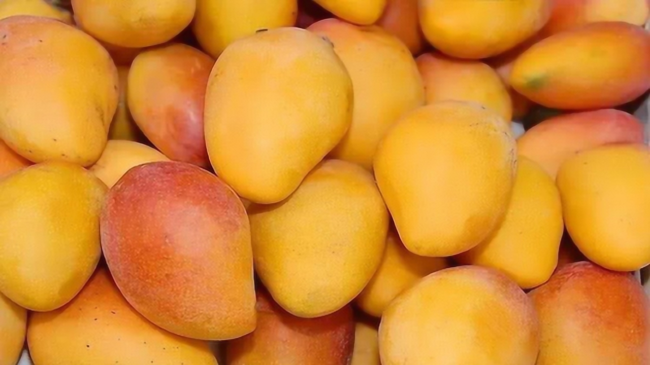 大便总是很臭是什么原因,大便馊味是消化不良吗