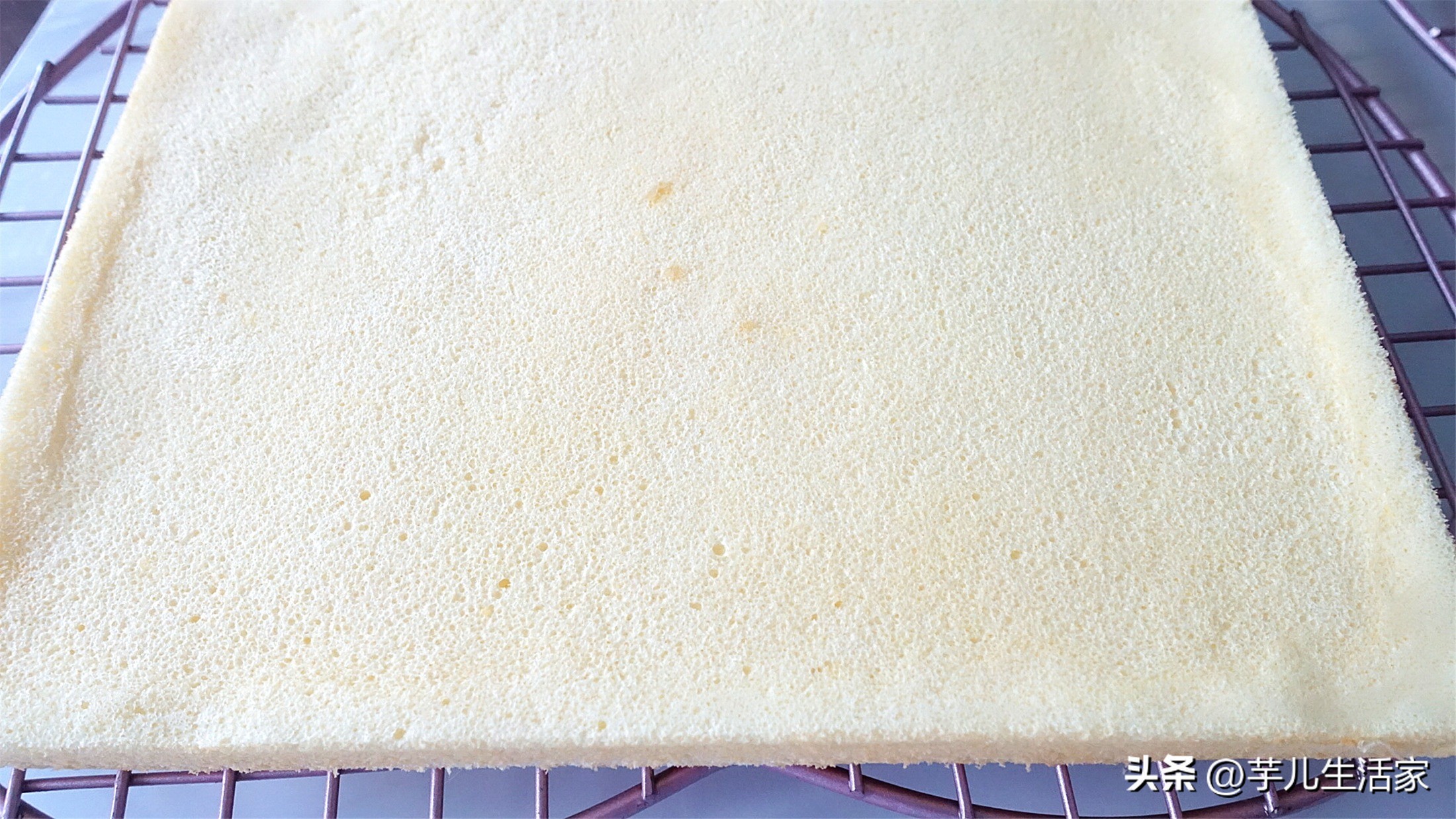 春游必备小甜品蛋糕,夏日野餐必备盒子蛋糕