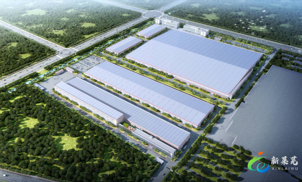 从“开门好”到“半年红”，莱芜交出一份亮眼“成绩单”