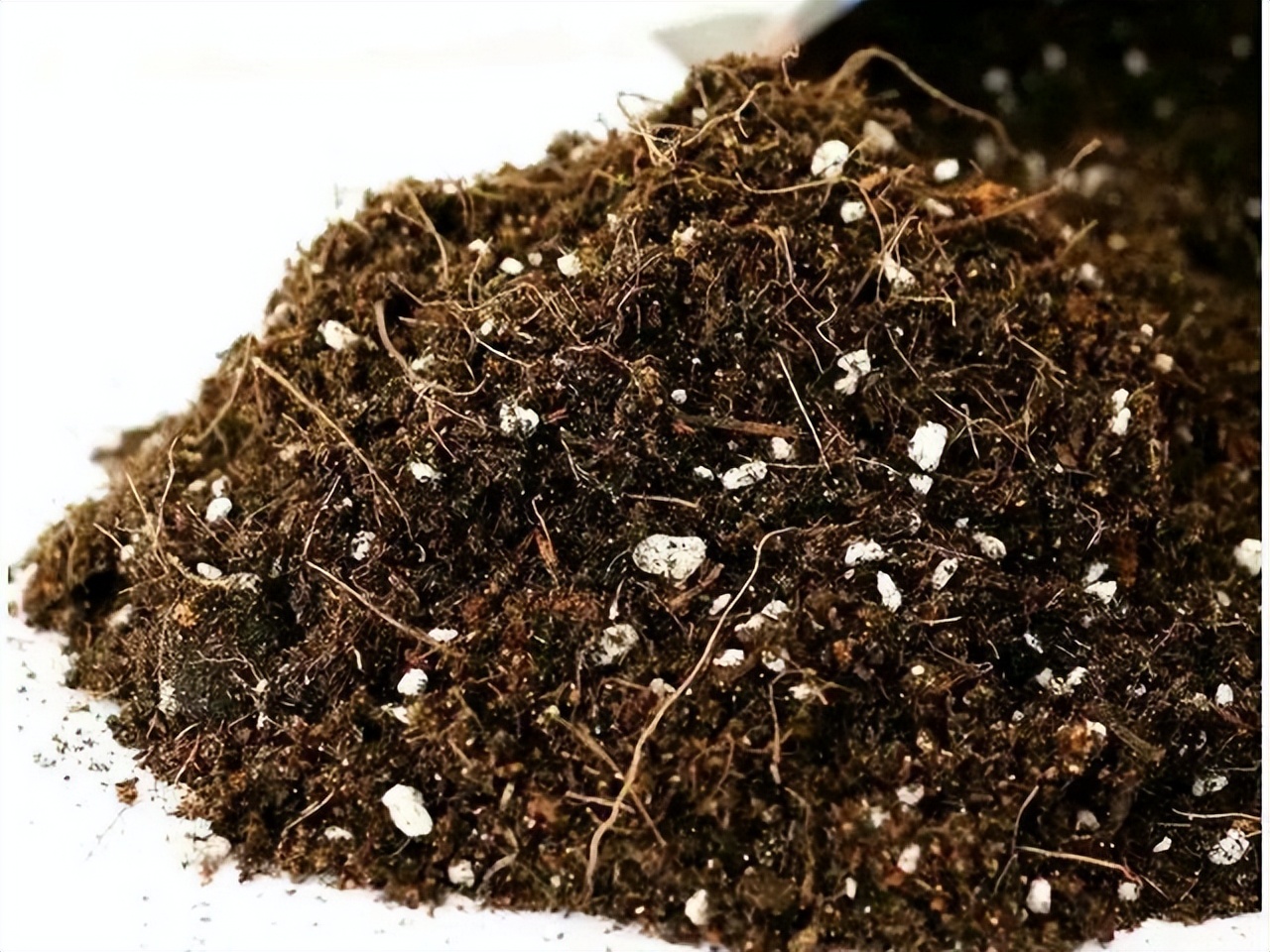 养花换掉的土,养花换下来的旧土用什么药杀菌好