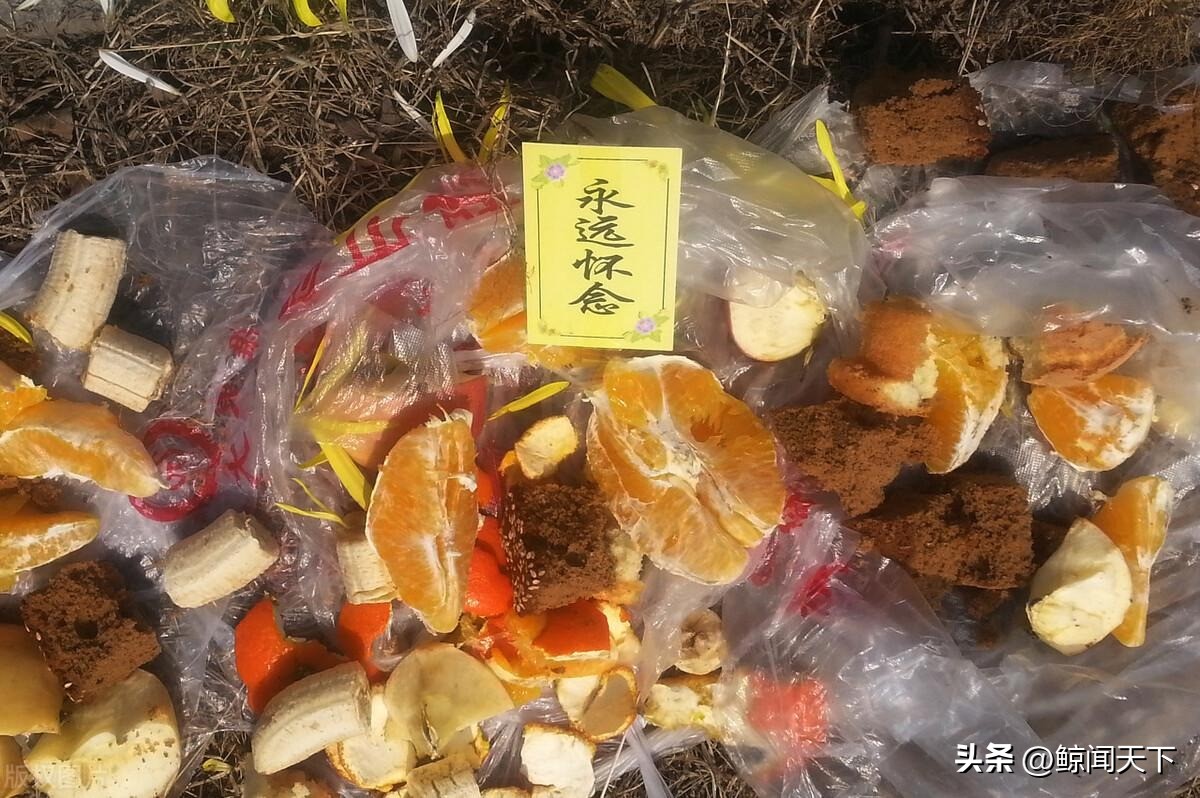 清明扫墓讲究颇多,“3做5禁忌”一个都不能错,今天你做对了吗