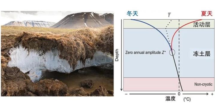 北极冻土挖象牙,猛犸象牙西伯利亚冰冻层挖掘出来