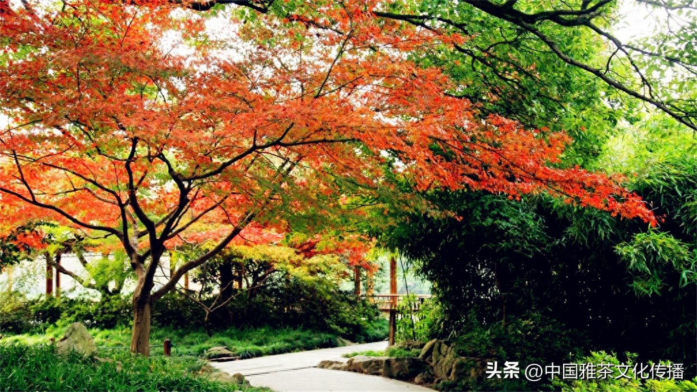 有一种幸福叫友情,幸福和谐的一家人