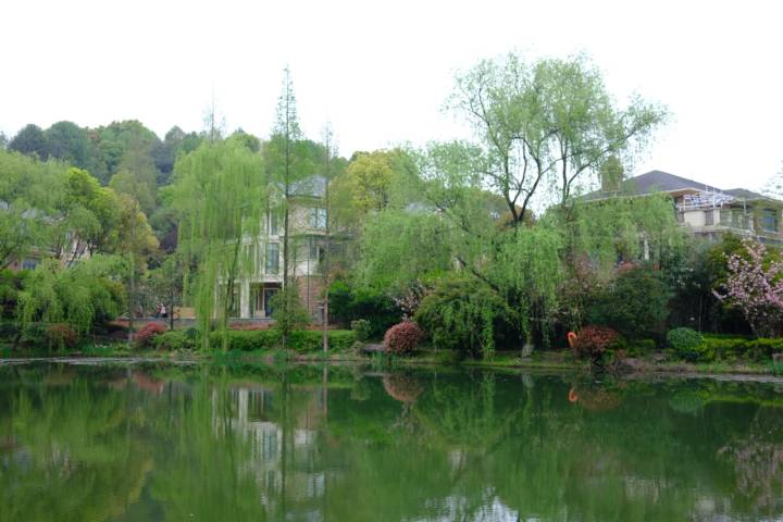 别墅改建能挣钱吗,别墅改成商业用房合法吗