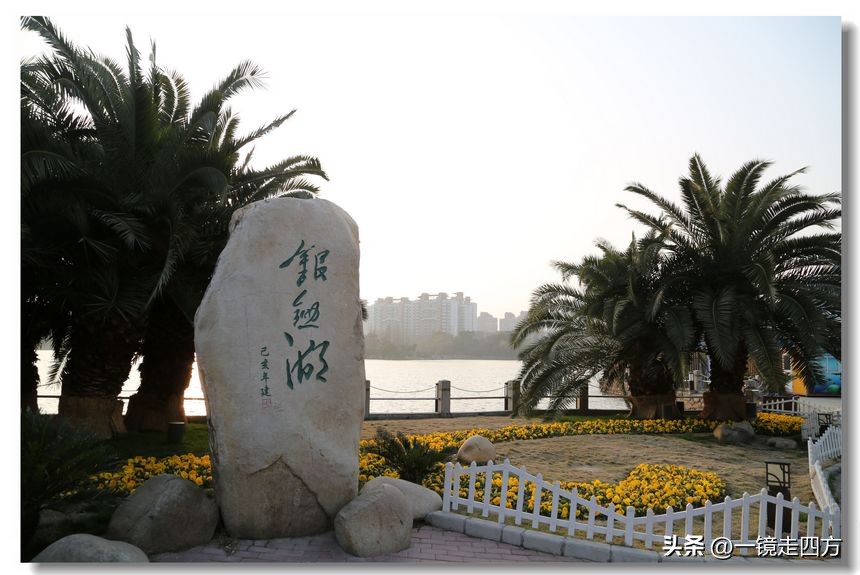 上海长风海洋公园和自然博物馆,上海长风公园占地面积