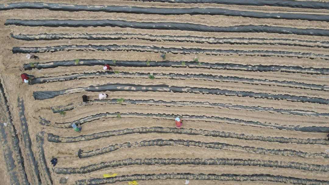 乡村振兴看永顺,陕西省佳县朱官寨乡冯家圪崂村