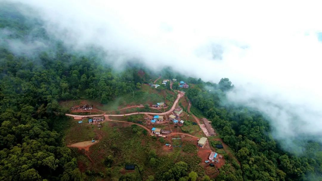 绿春乡村振兴,绿春乡村振兴工作