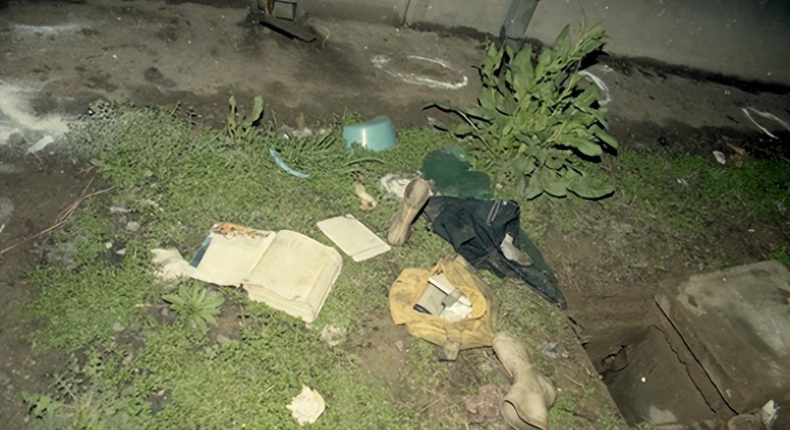 案件破解视频,案件破解解说