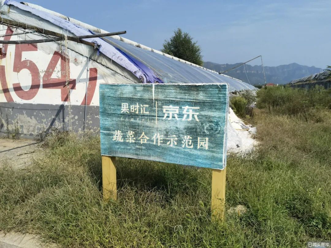 双11重点电商,双11几大电商