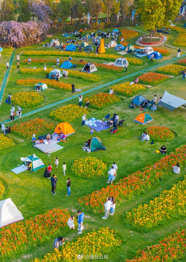 武汉哪些景点用准考证免门票,武汉景区对中高考生免费