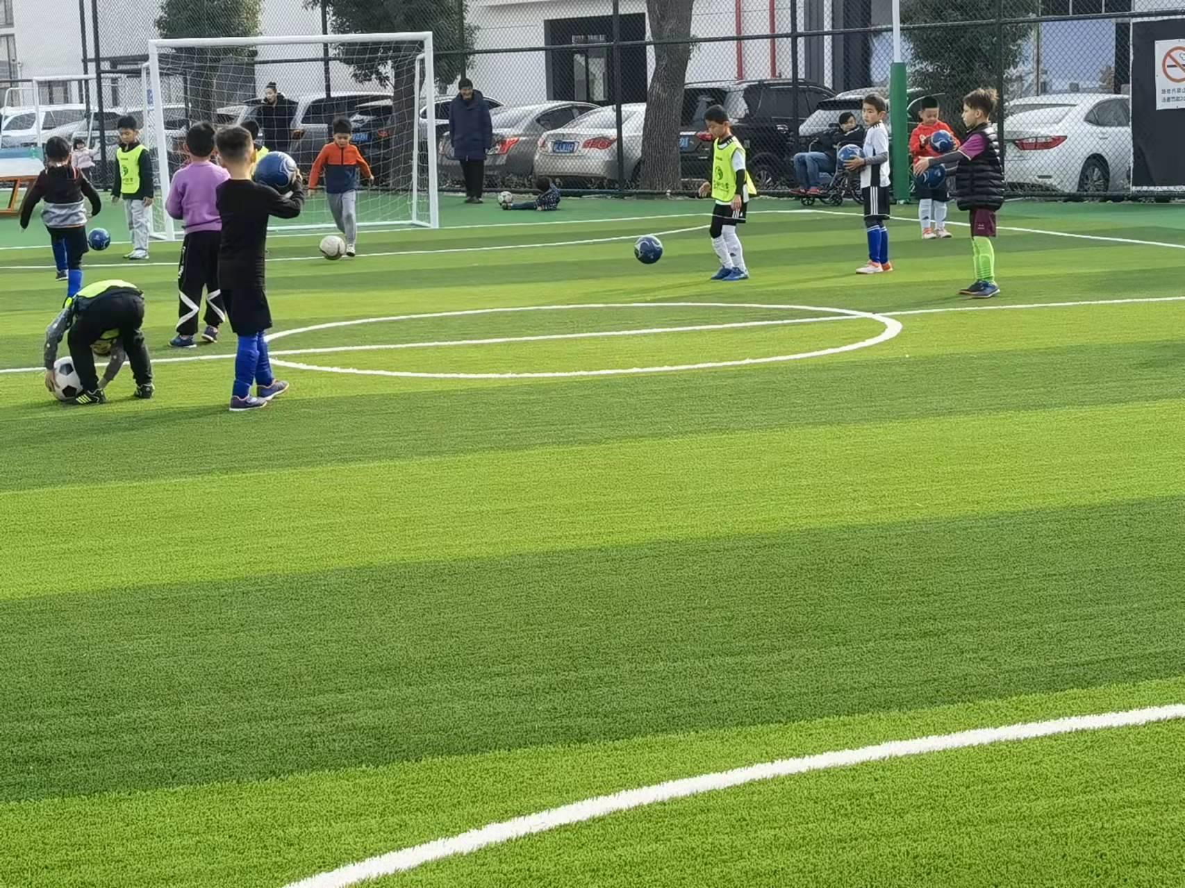 赛尔隆人造草坪,清丰县人造草坪