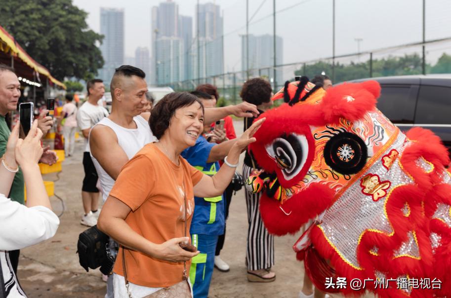 广州多区“睇龙船”超全指南,广东“睇龙船”指南来了