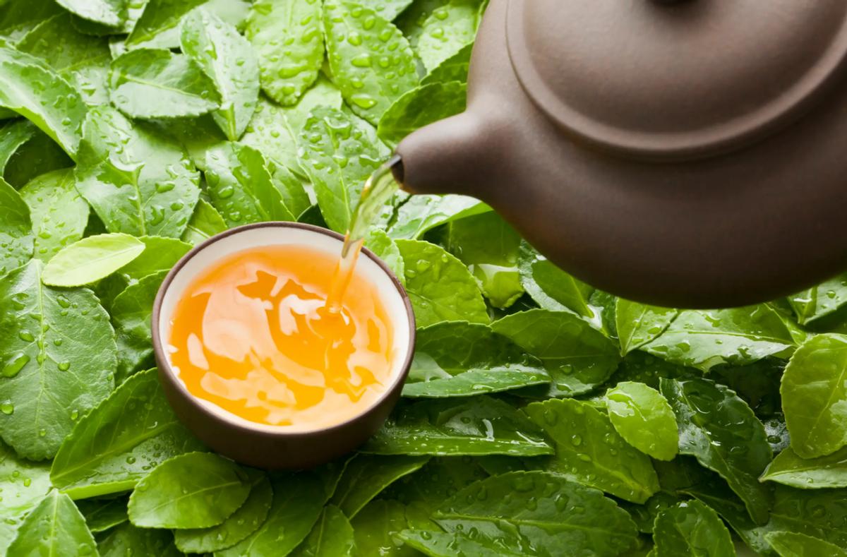 李时珍《本草纲目》中的食疗养生之道