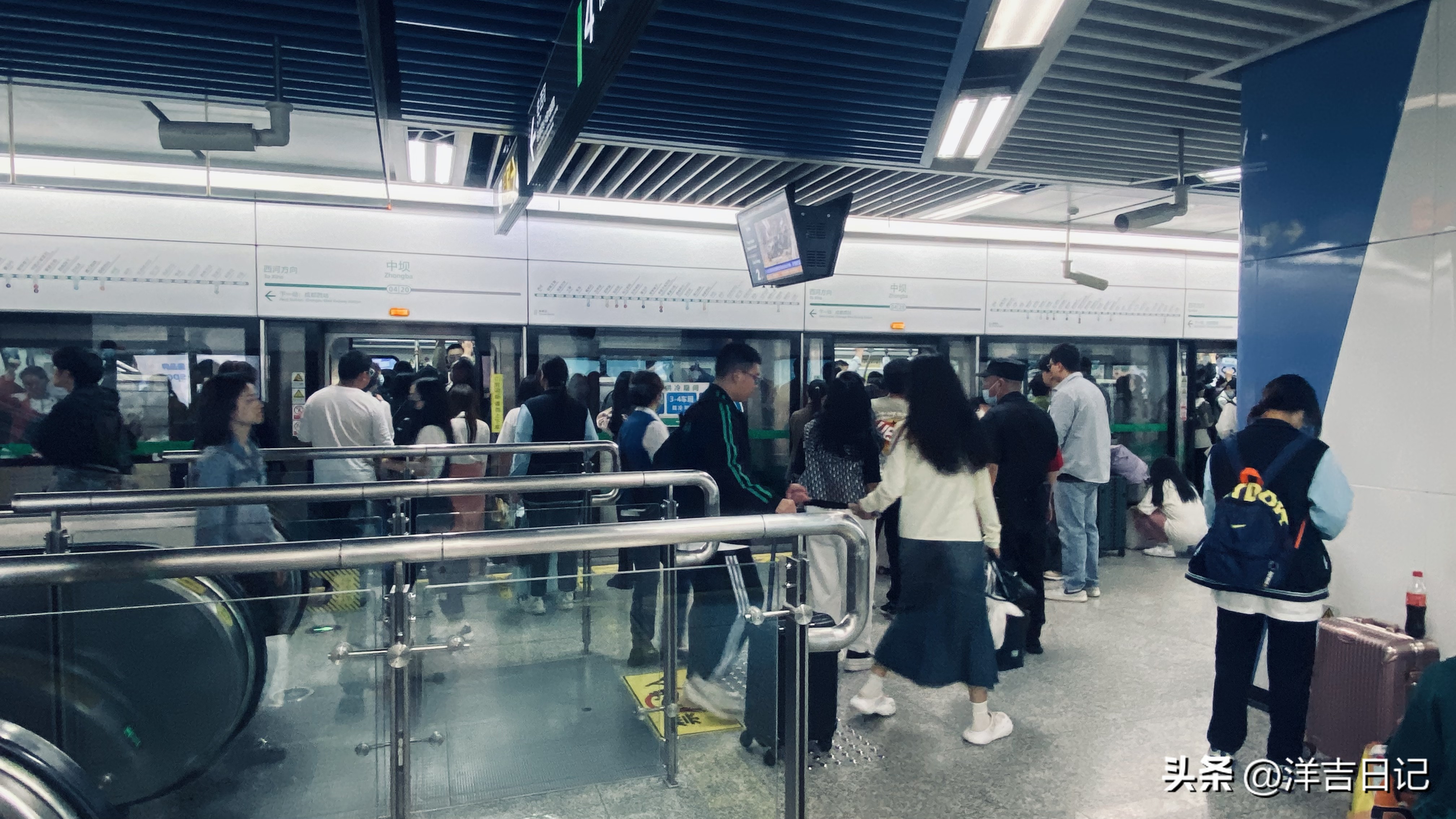 洋吉日记2023.4.28（花的意义？）