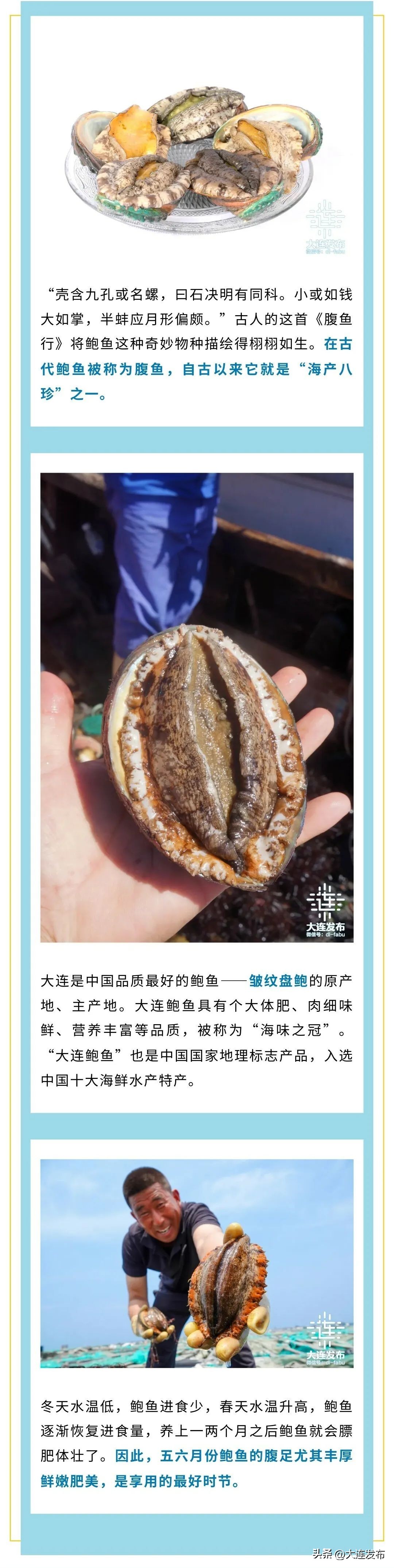 实现海鲜自由的秘诀,实现海鲜自由另一种说法