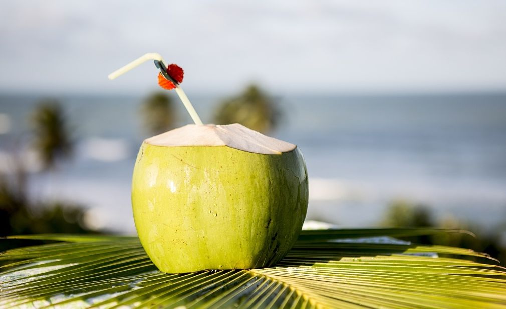 女儿孕期需喝椰子水，老爸买来一整车，这么喝真没问题吗？