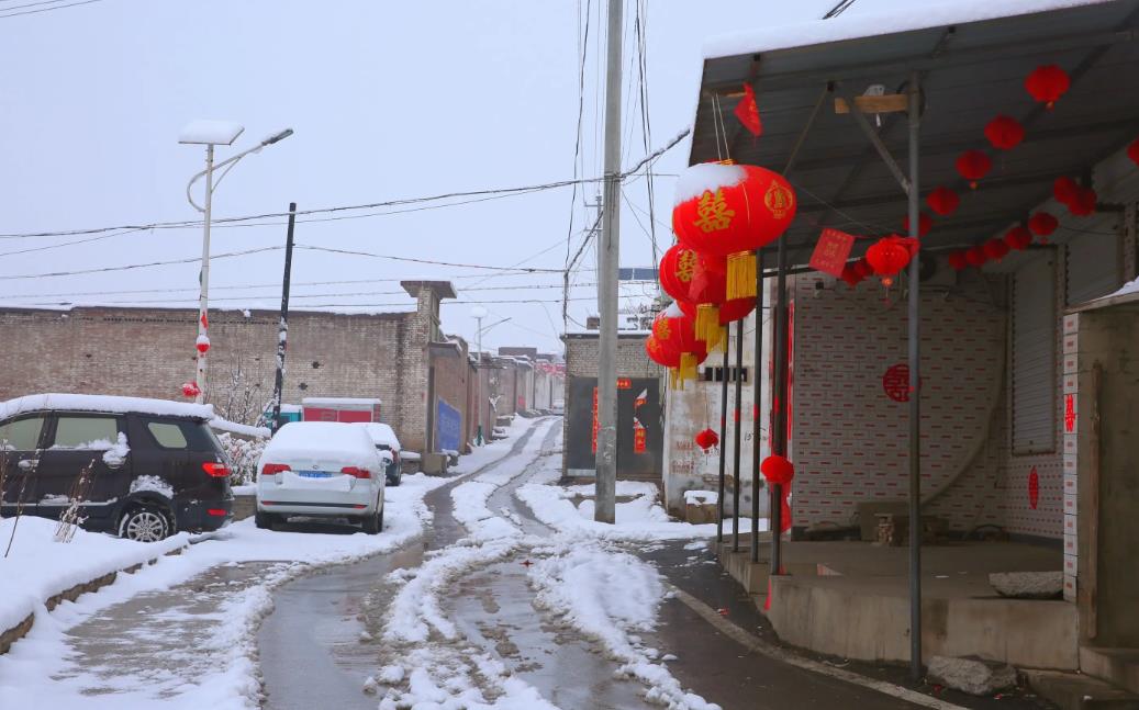 什么时候开始数九今年最冷的,数九已开始今年冷冬是几九