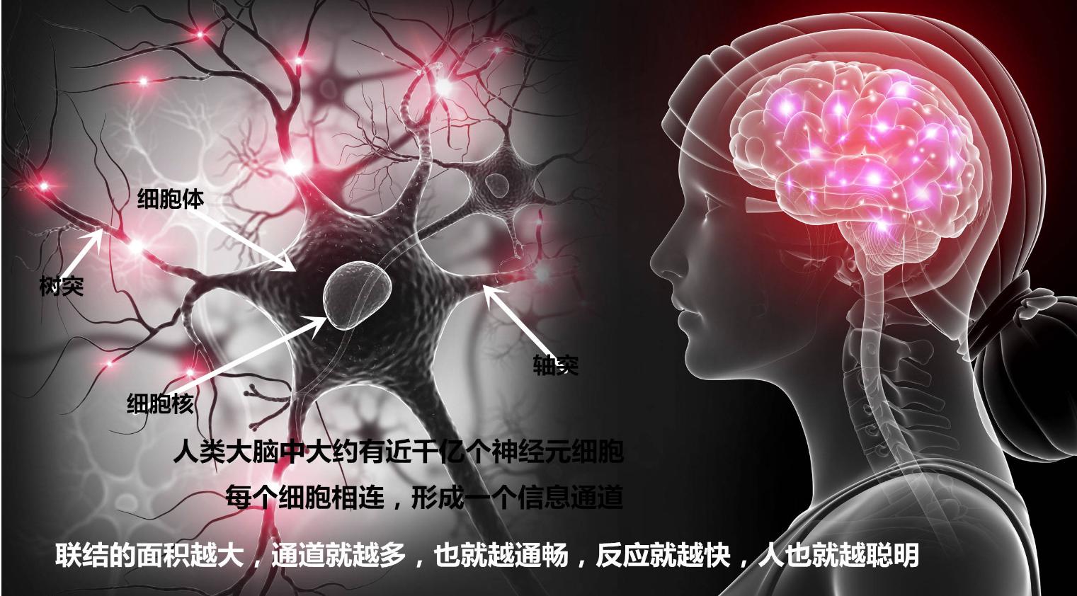 睡觉流口水要警惕四种疾病,睡觉流口水是什么病的前兆