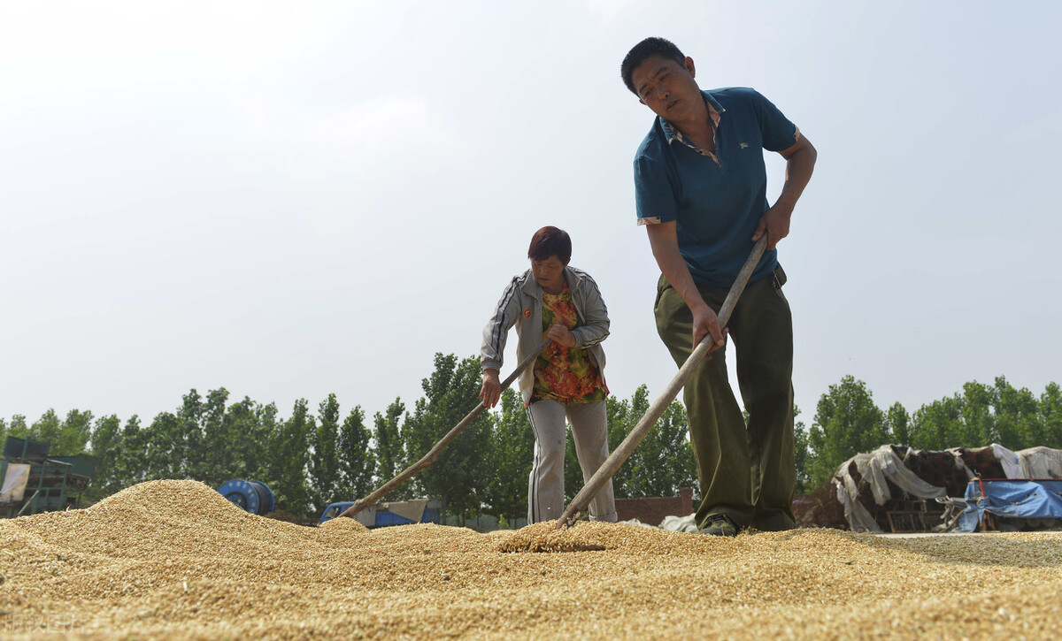 正月十一阴天好还是晴天好,正月十七下雨什么说法