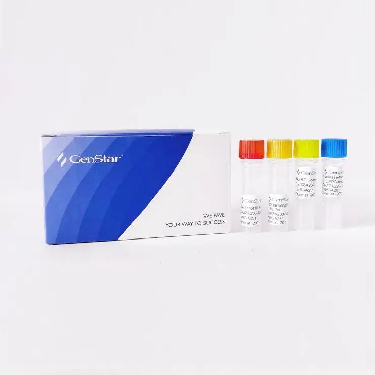 玩转反转录，康润诚业携2022系列新品亮相世界肿瘤早筛大会