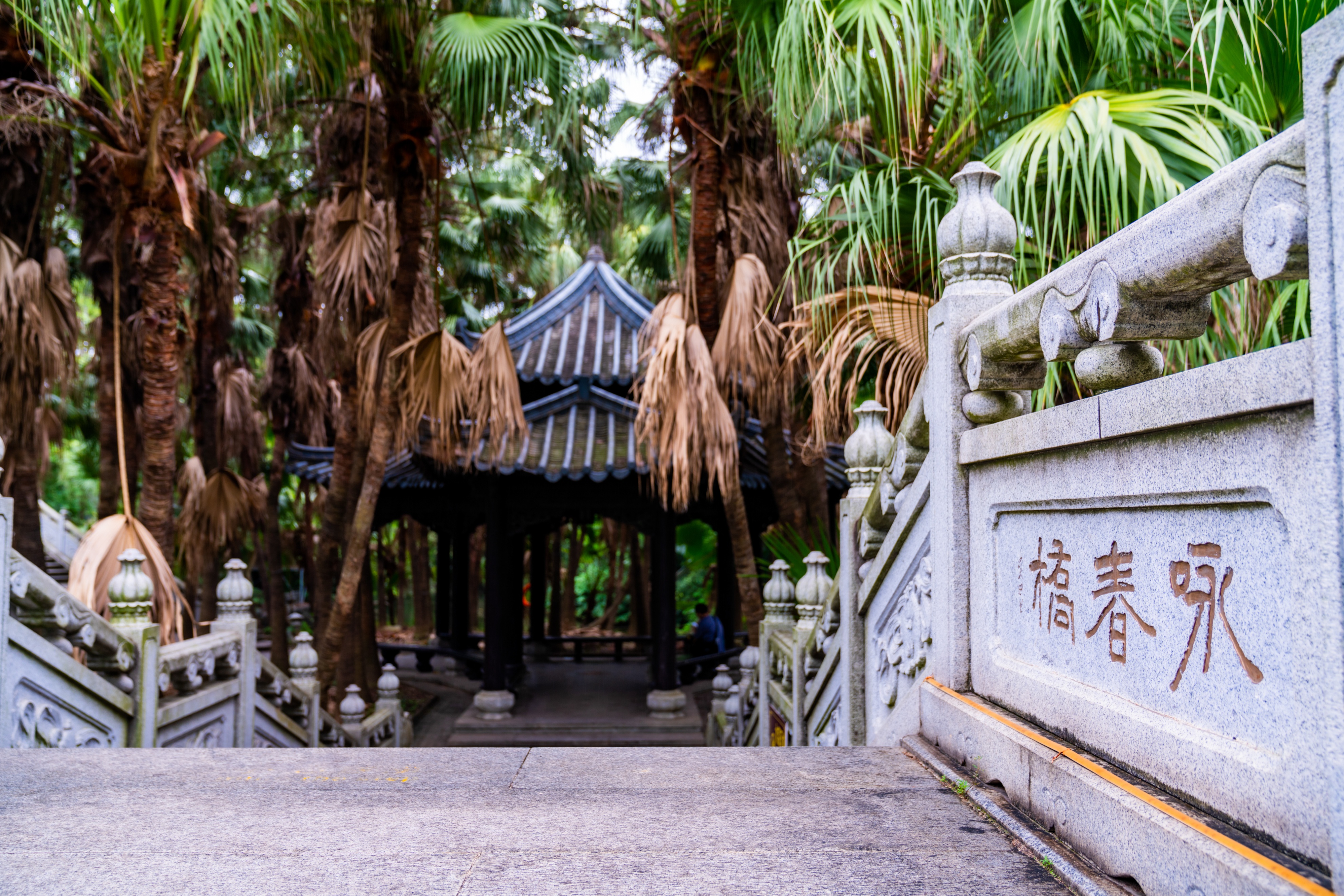 粤晖园国庆游,粤晖园自驾游攻略