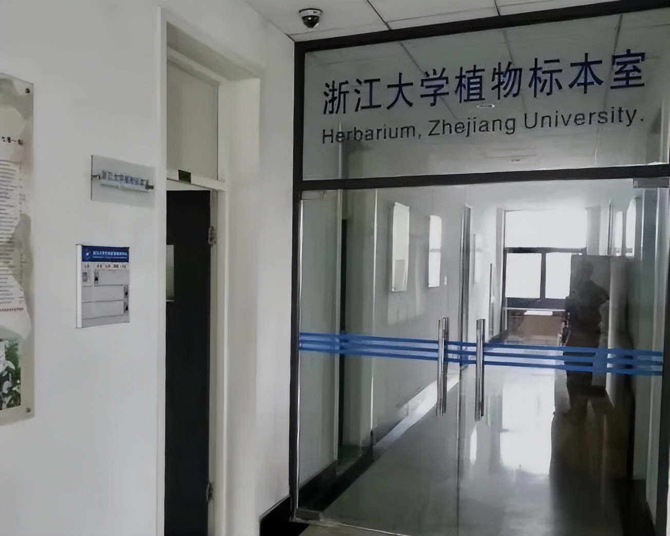 浙大博物馆十大镇馆之宝,浙大考古与艺术博物馆