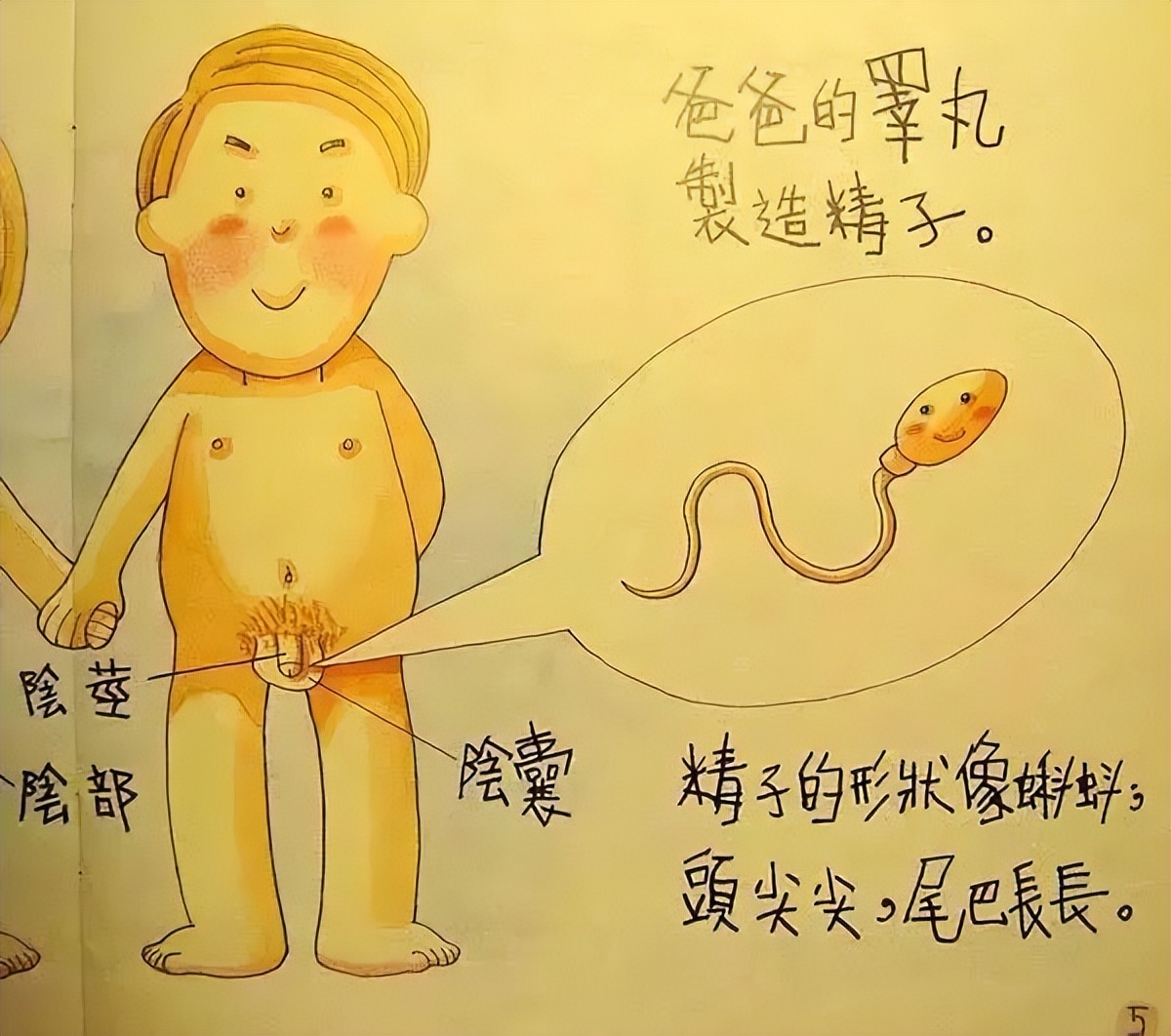 电视上的叔叔阿姨为什么在亲嘴？孩子们天真的性好奇，我们怎么答