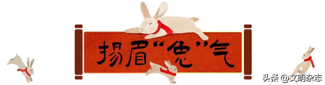 兔子来阳台,兔子来到新家