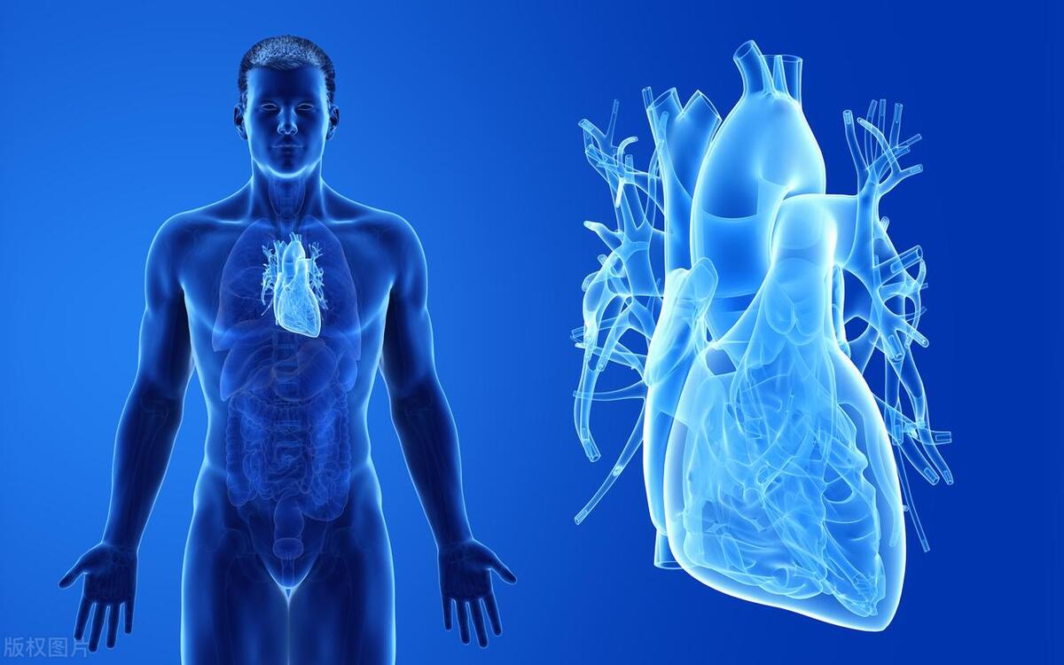 22岁少女脑死亡,脑死亡还有生存的机会吗?如何保护脑死亡患者?