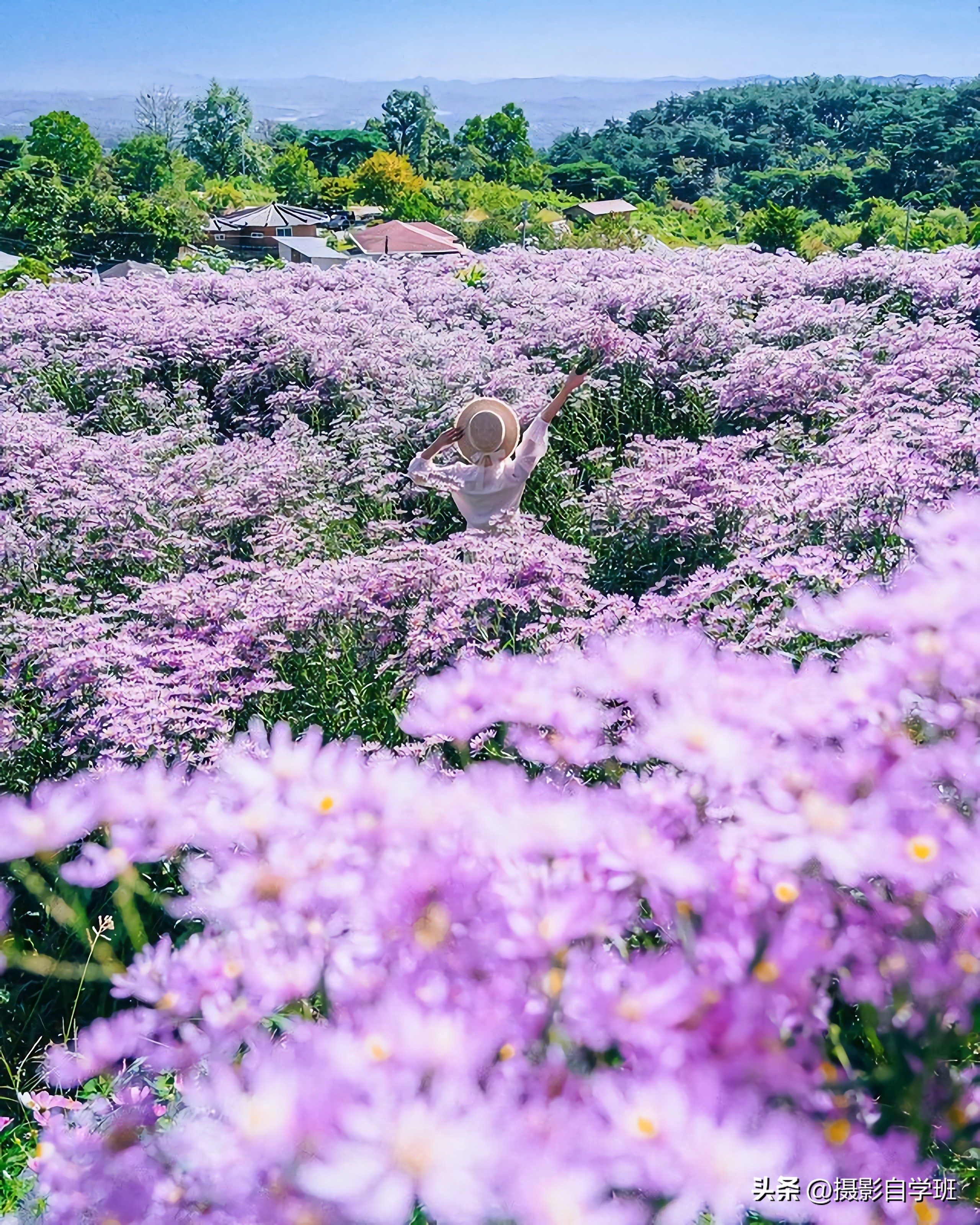 如何在夜里拍出好看的花朵照片,花朵怎么拍出好看的照片
