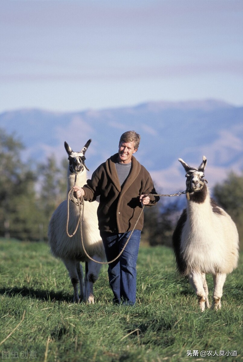 农民改行做什么最赚钱,最近这两年在农村做什么最能挣钱