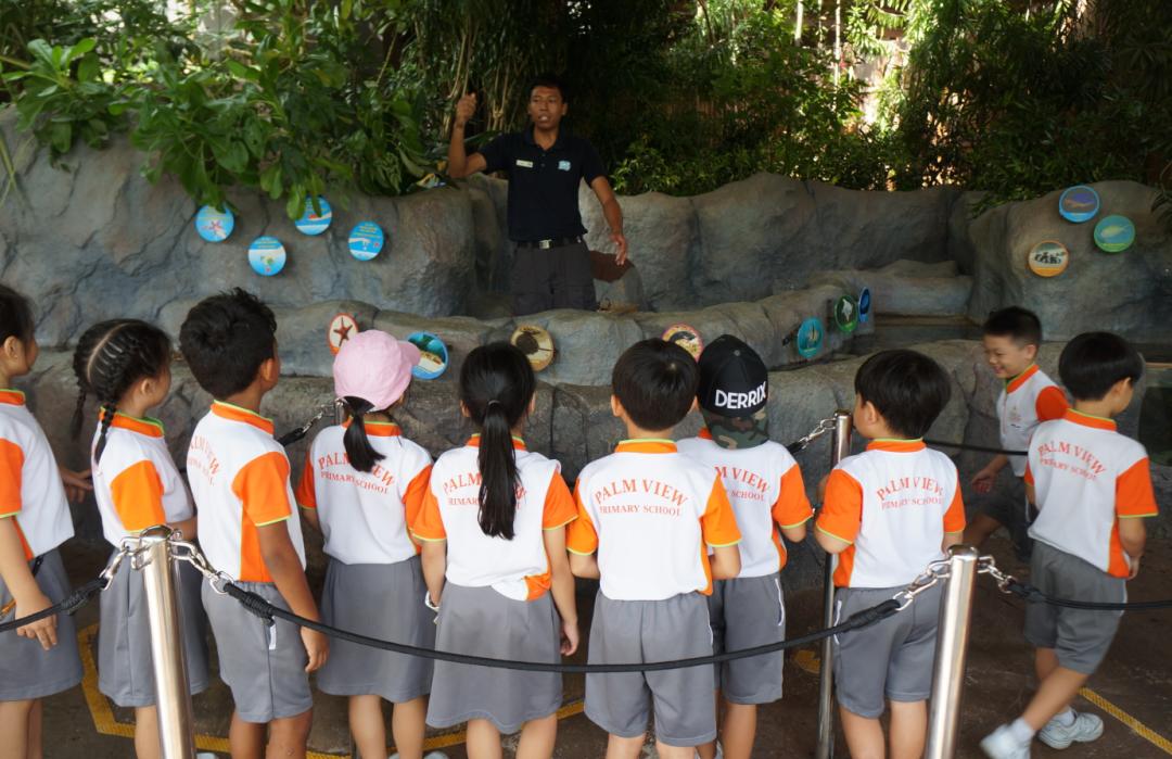 新加坡河川生态园攻略,推荐一个好地方新加坡河川生态园