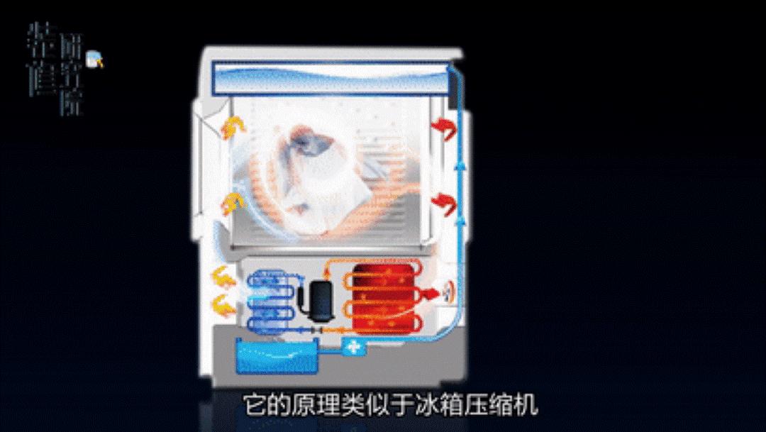 洗烘套装怎么选?双变频压缩机很重要!LG容慧洗烘套装告别晾衣架