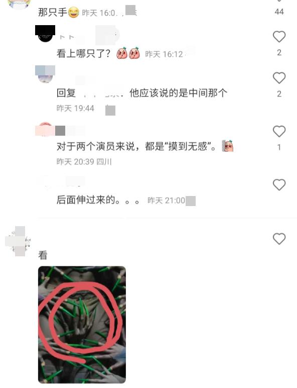 杨丽萍舞蹈再惹争议!女舞者手摸男伴私密部位,场面尴尬疑似低俗