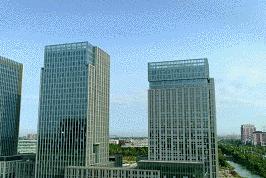 解码港城创新因子，澎湃人才发展动能！