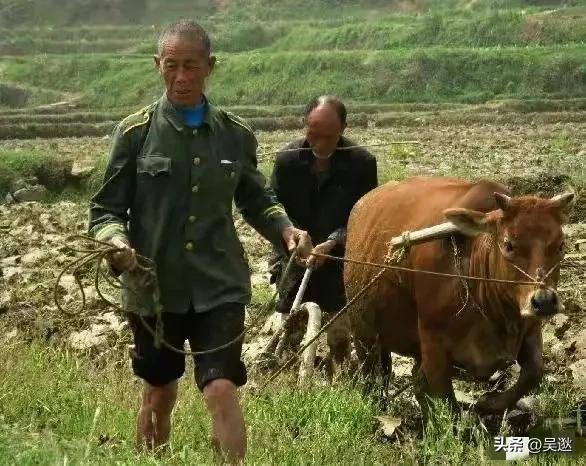 95后女孩外出打两份工,95后女生打四份工全年无休抖音