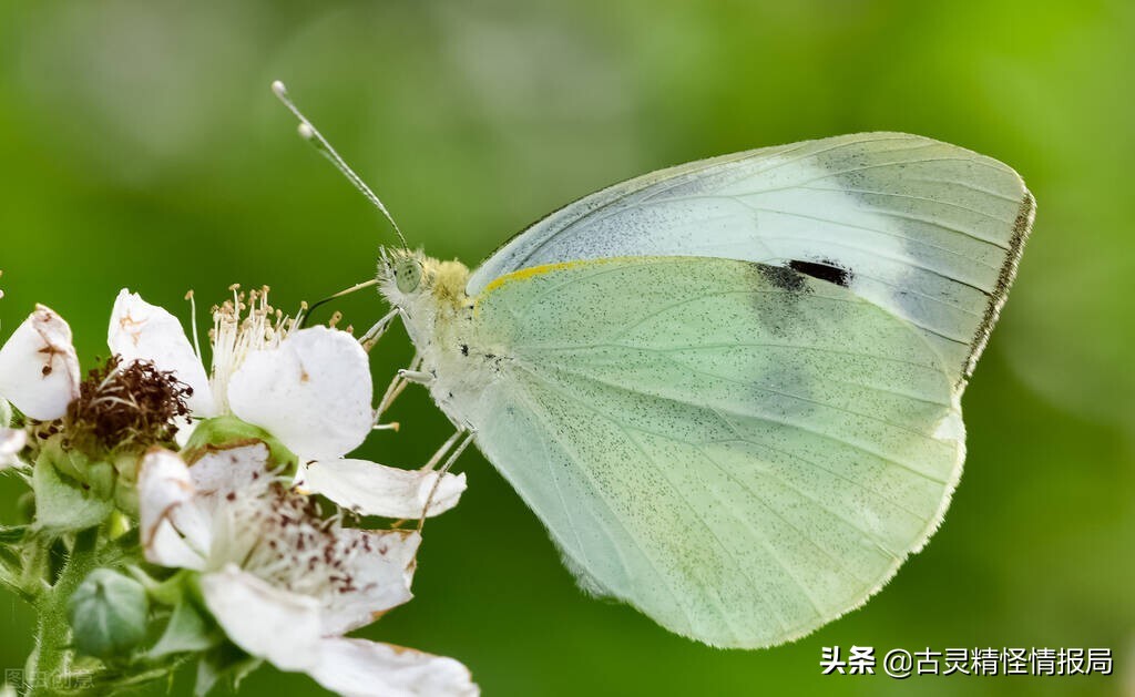 那些年，我们正值青春好年华，朝气蓬勃，意气风发