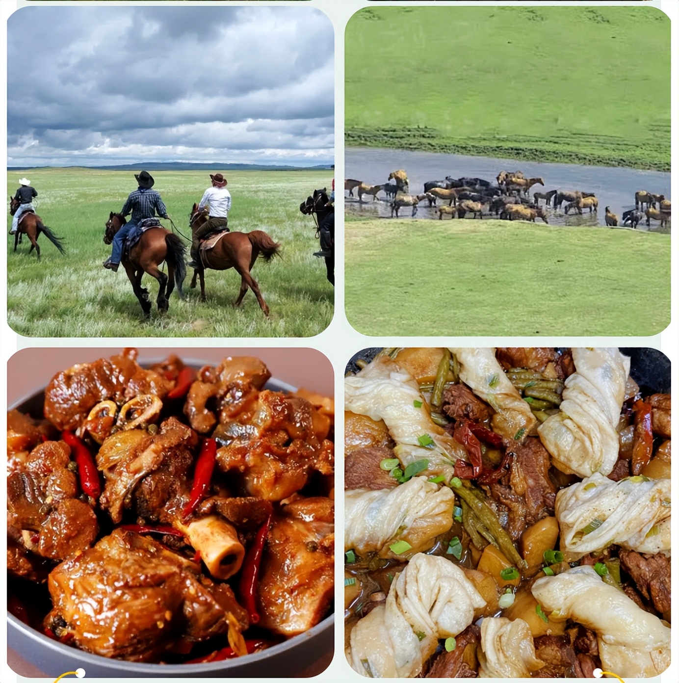 2023海拉尔草原迷笛音乐节,海拉尔迷笛音乐节8月