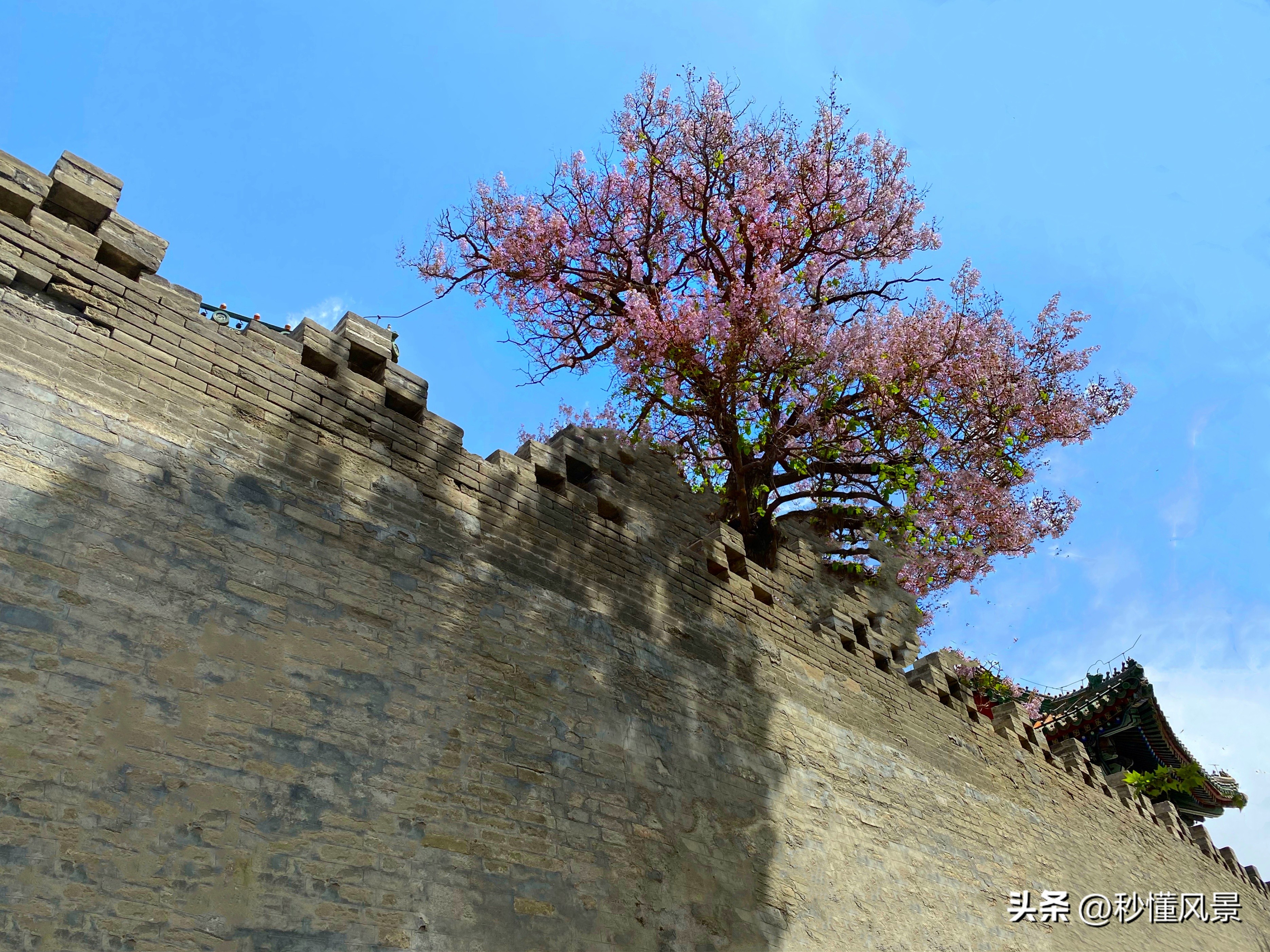 北京最小的城堡，藏于闹市适合遛娃拍照，人少景美还有泡桐花海！