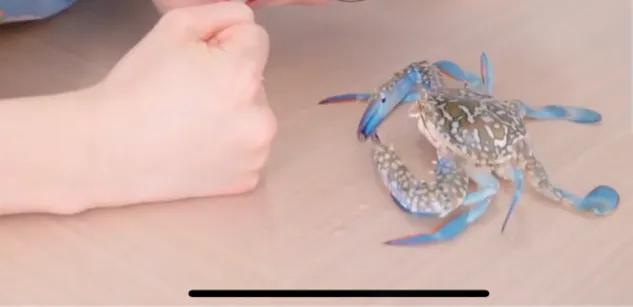 石头剪刀布的秘诀表,剪刀石头布必赢口诀