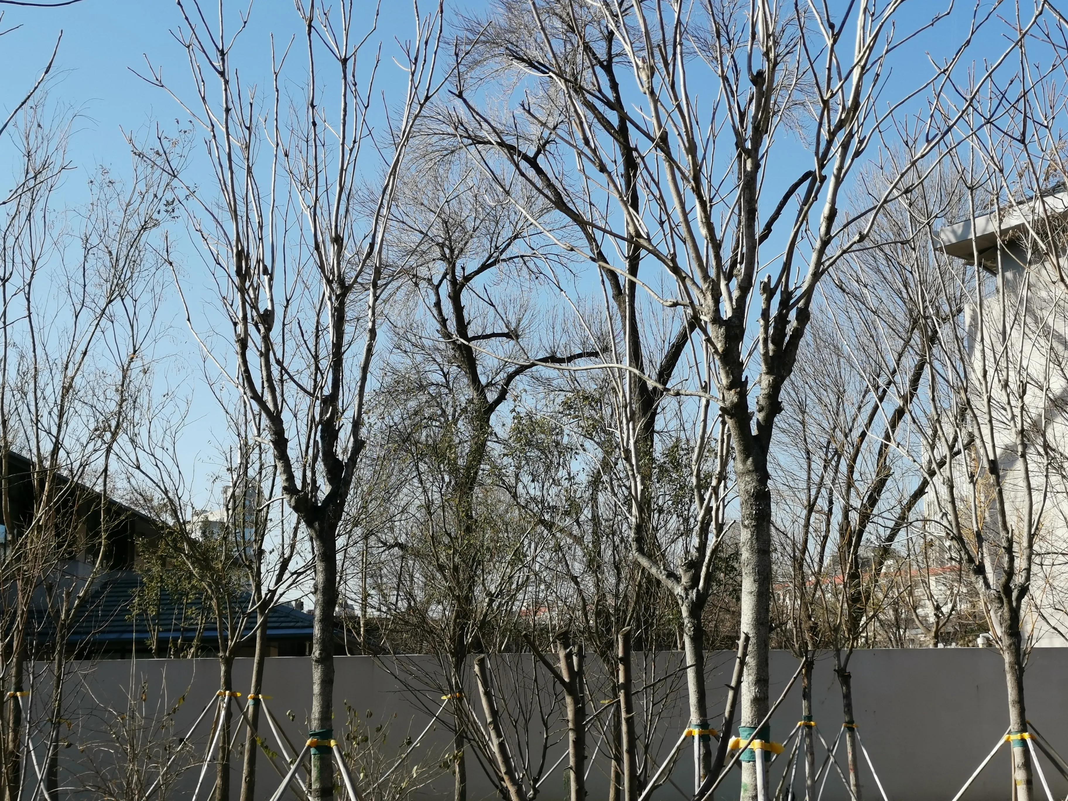 疫情下的天津,疫情下的天津河西