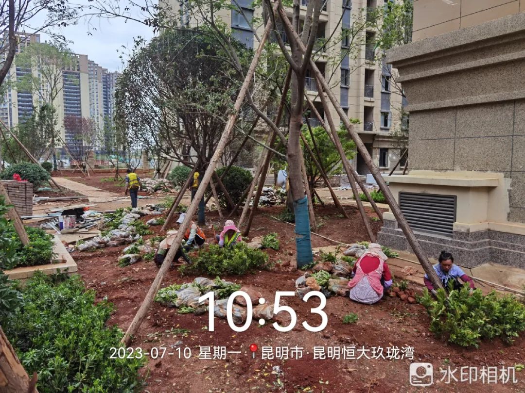 狠抓细节全力保障项目进度和交付,确保工程保质保量顺利完成任务