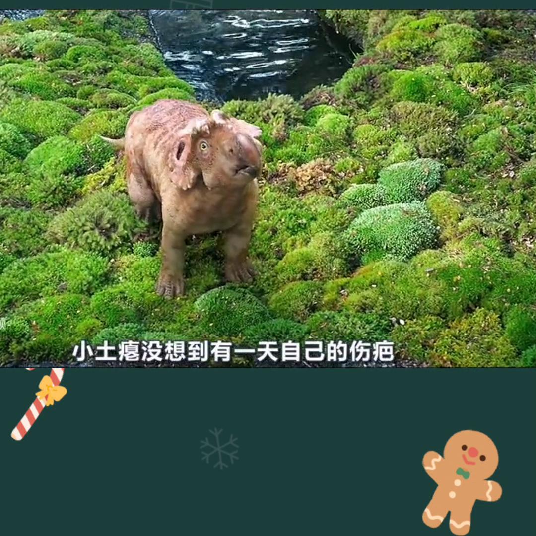 科普知识,科普知识大全短视频